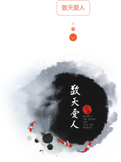 我們的實力